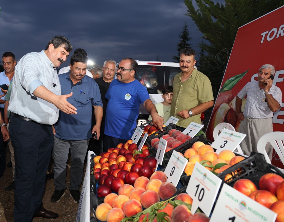 ŞEFTALİ HASAT ETKİNLİĞİ - 2