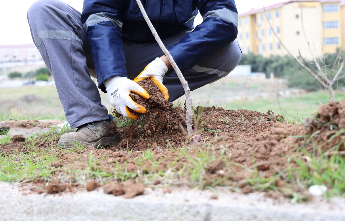 TOROSLAR BELEDİYESİ, YEŞİL DOKUYU GÜÇLENDİREN ÇALIŞMALARINI SÜRDÜRÜYOR