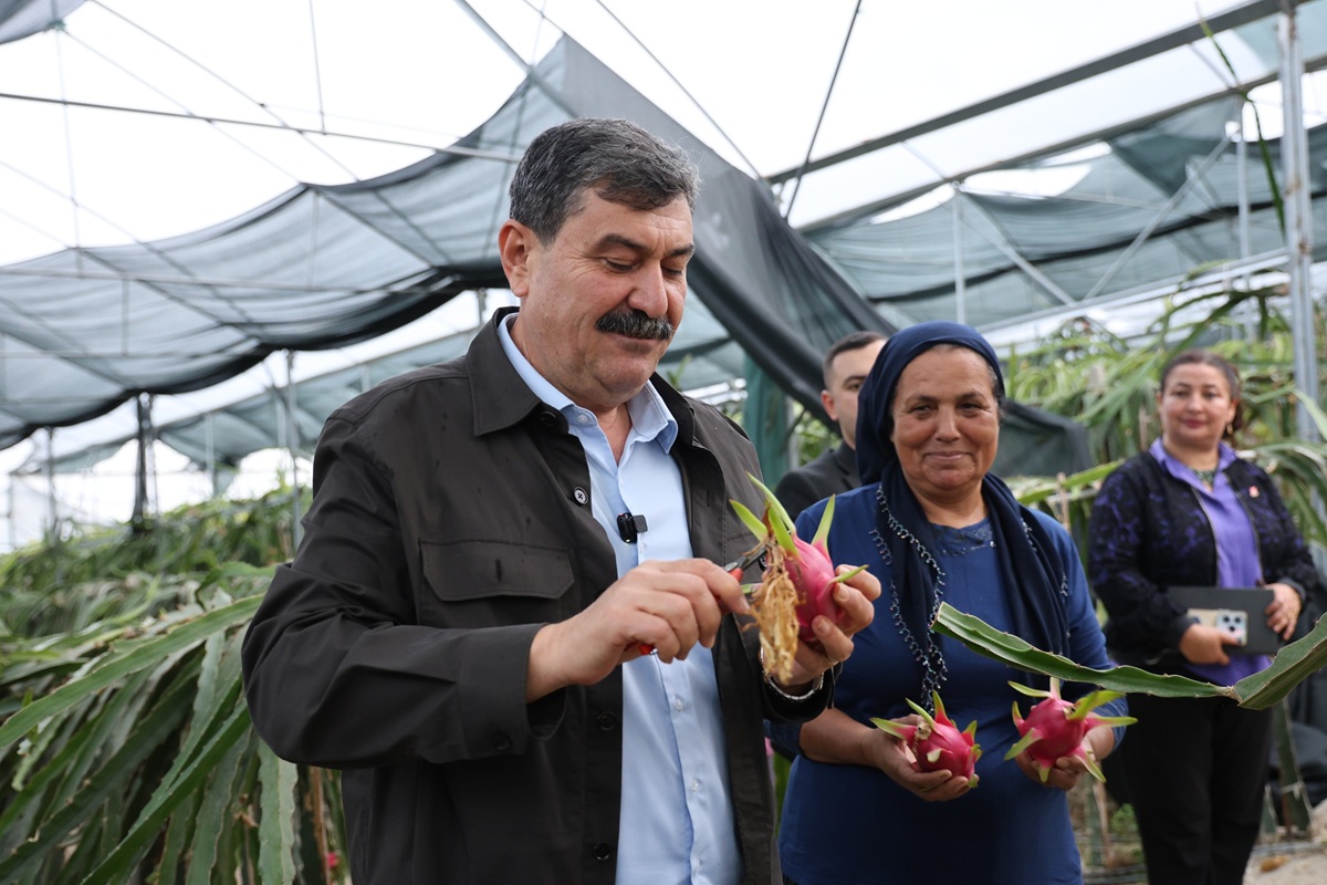 BAŞKAN YILDIZ, KADIN ÇİFTÇİLERLE TARLADA BULUŞTU - Görsel 7