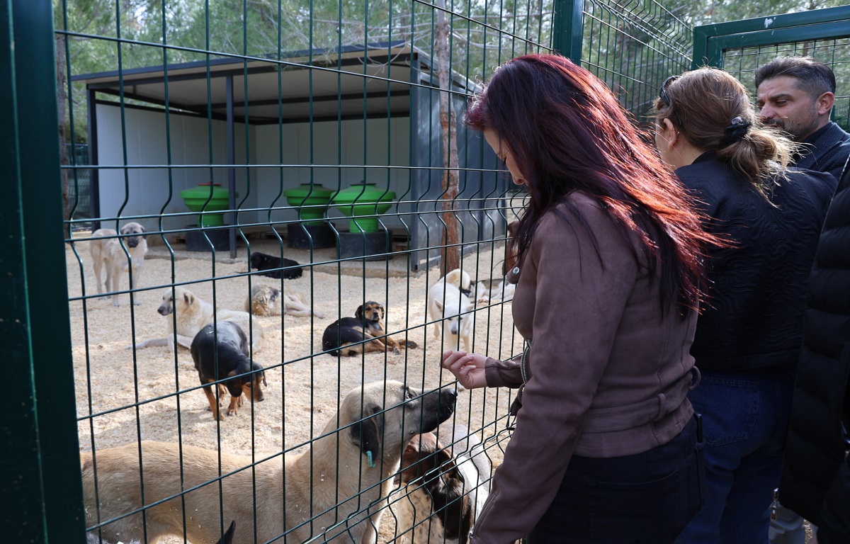 TOROSLAR’IN DOĞAL YAŞAM ALANI HAYVANSEVERLERDEN TAM NOT ALDI