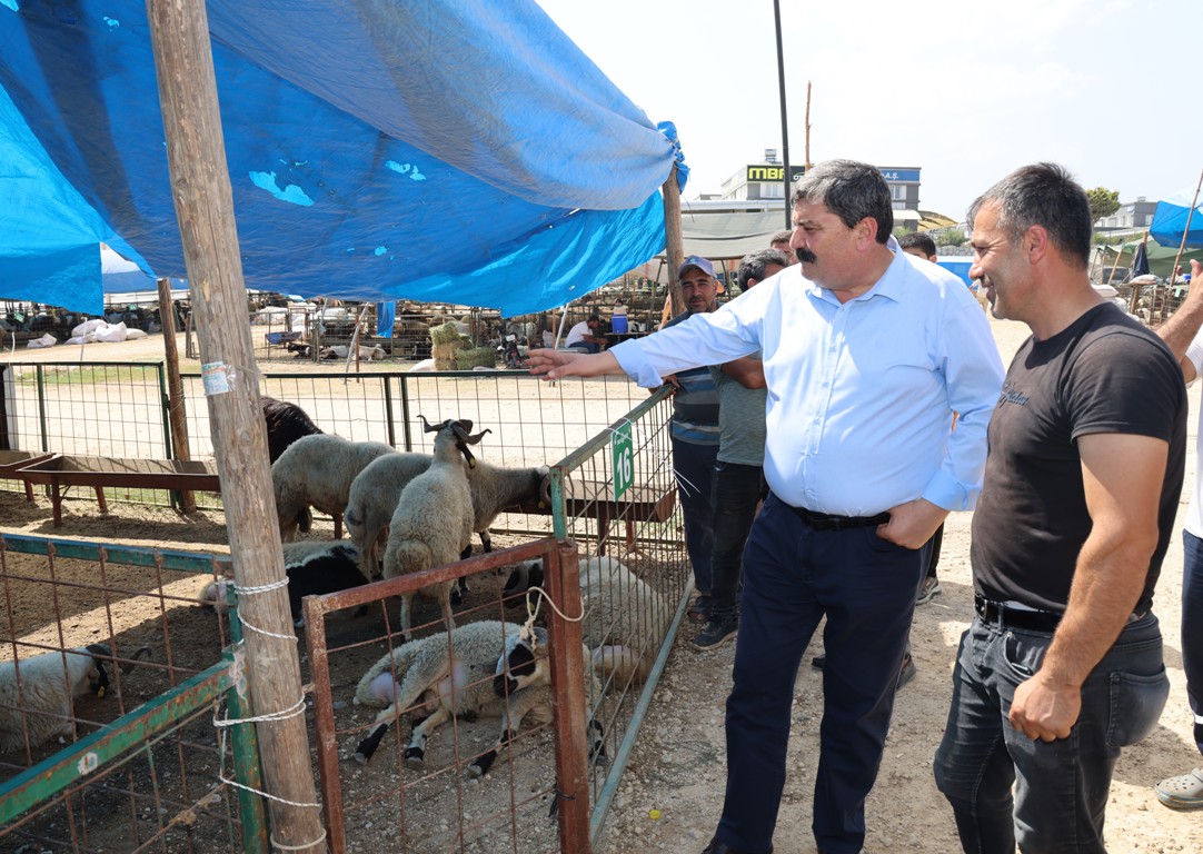 BAŞKAN YILDIZ, KURBAN SATIŞ ALANINI ZİYARET ETTİ