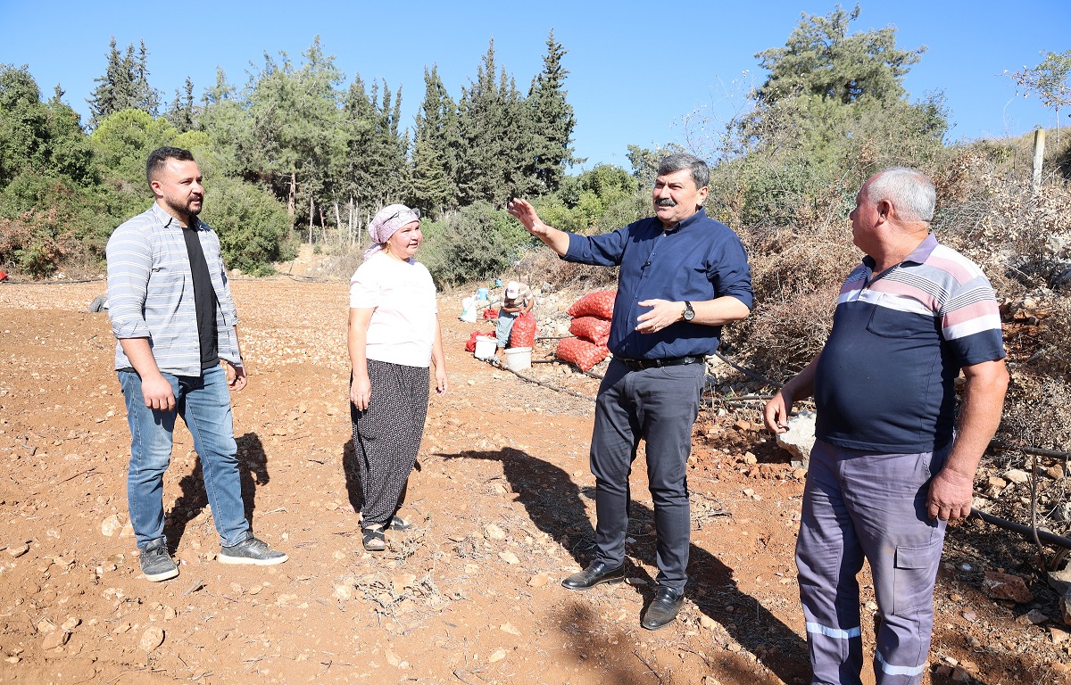 TARLADA SOĞAN EKEN KADIN ÇİFTÇİLERE BAŞKAN YILDIZ’DAN SÜRPRİZ ZİYARET