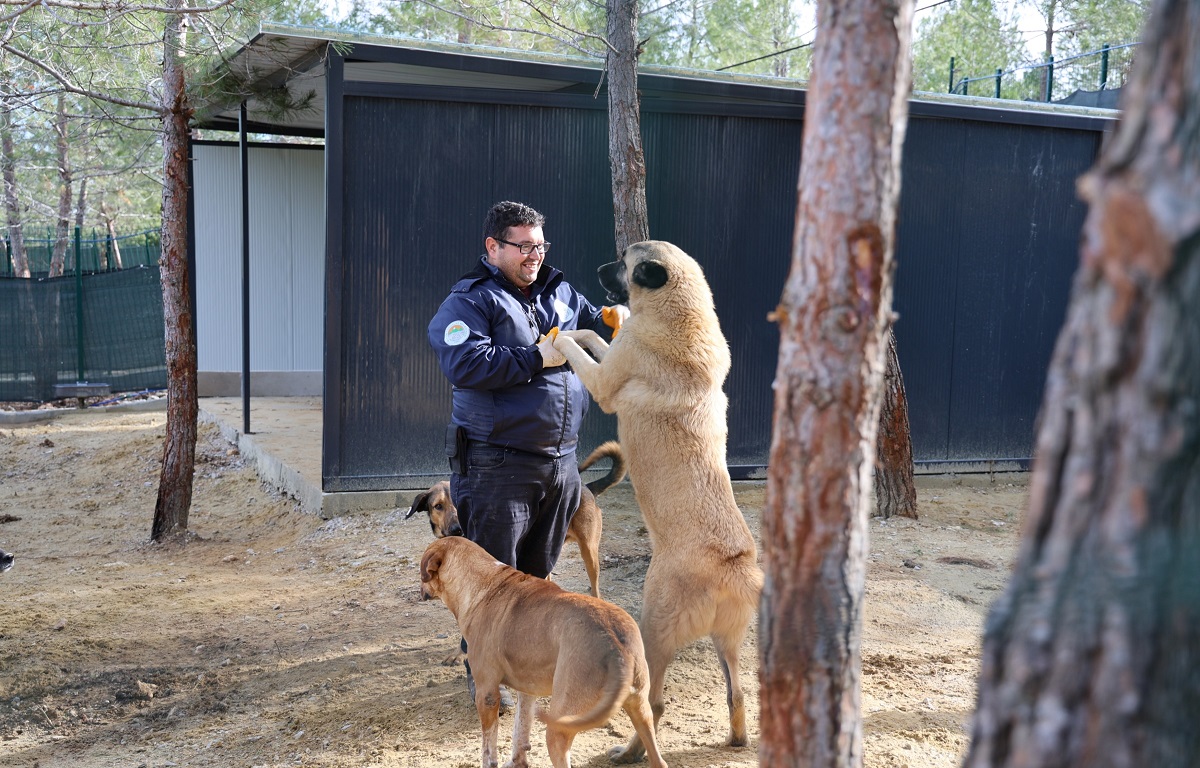 TOROSLAR’IN DOĞAL YAŞAM ALANI HAYVANSEVERLERDEN TAM NOT ALDI