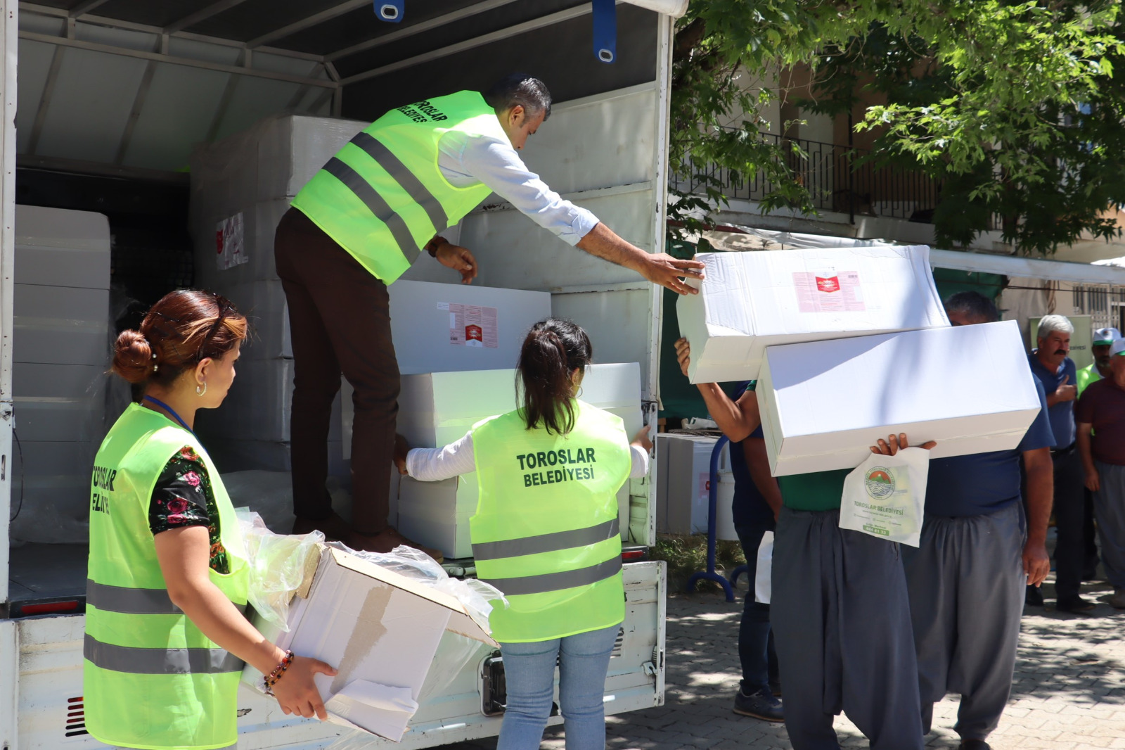 TOROSLAR BELEDİYESİNİN TOHUM DESTEĞİ İLK HASADINI VERDİ - Görsel 3