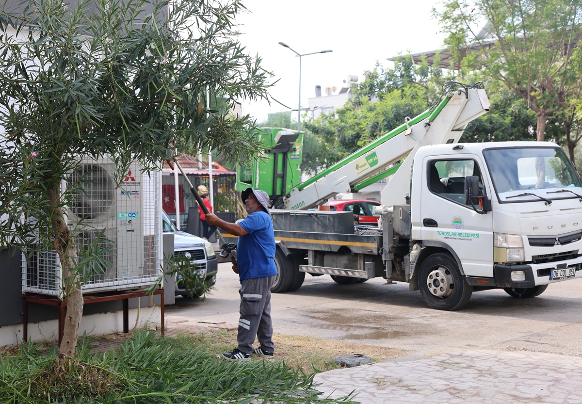 TOROSLAR’DA AĞAÇ BUDAMA VE BAKIM ÇALIŞMALARI SÜRÜYOR - Görsel 5