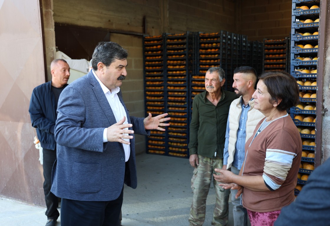 TOROSLAR BELEDİYE BAŞKANI YILDIZ, CENNET MEYVESİ HASADINA KATILDI