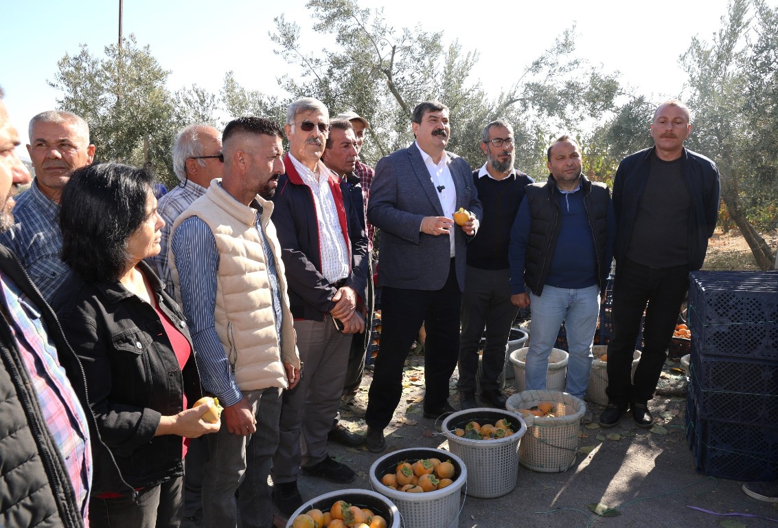TOROSLAR BELEDİYE BAŞKANI YILDIZ, CENNET MEYVESİ HASADINA KATILDI