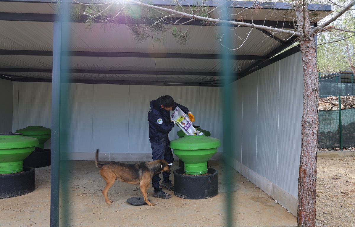 TOROSLAR’IN DOĞAL YAŞAM ALANI HAYVANSEVERLERDEN TAM NOT ALDI