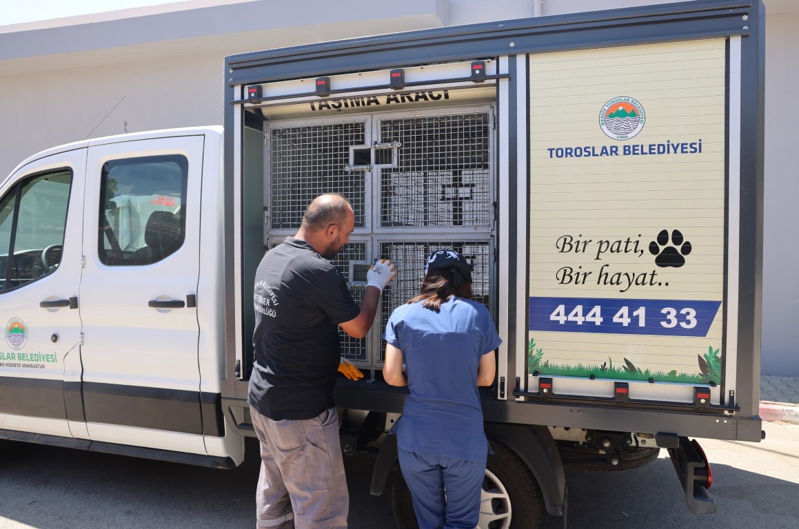 TOROSLAR BELEDİYESİNİN VETERİNER İŞLERİ MÜDÜRLÜĞÜ ÇALIŞMALARINA BAŞLADI