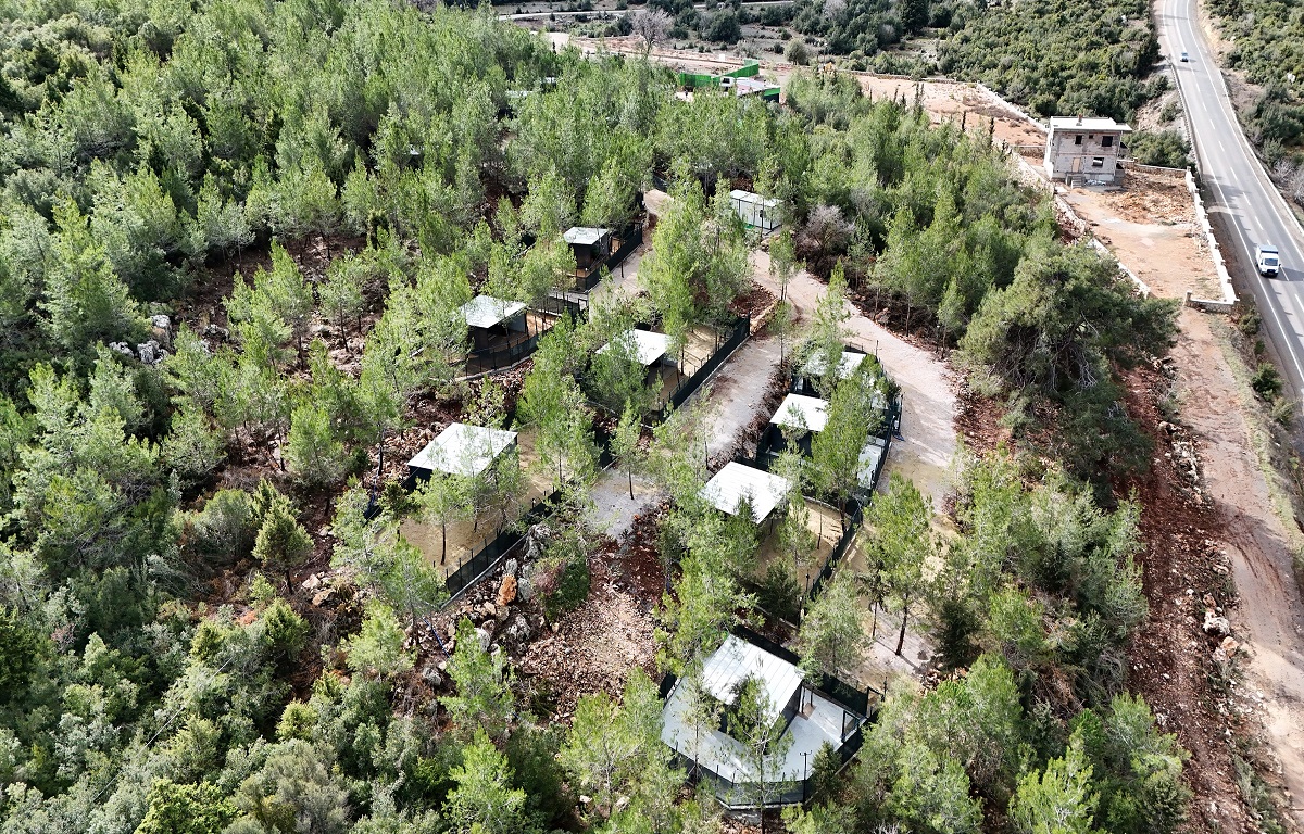BAŞKANI YILDIZ, SOKAK HAYVANLARI İÇİN KURULAN DOĞAL YAŞAM ALANLARIYLA İLGİLİ KRİTİK UYARILARDA BULUNDU