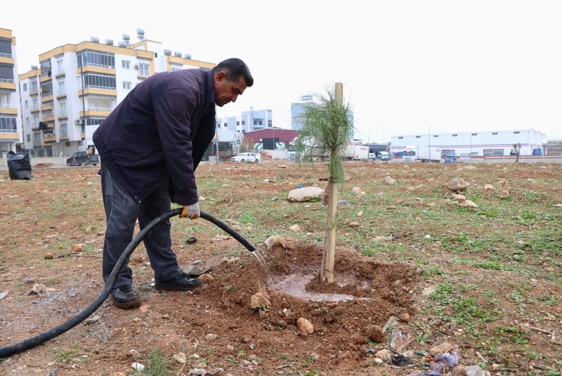 BAŞKAN YILDIZ: AMACIMIZ, TOROSLAR’I YEŞİL KİMLİĞİYLE ANILAN BİR İLÇE HALİNE GETİRMEK