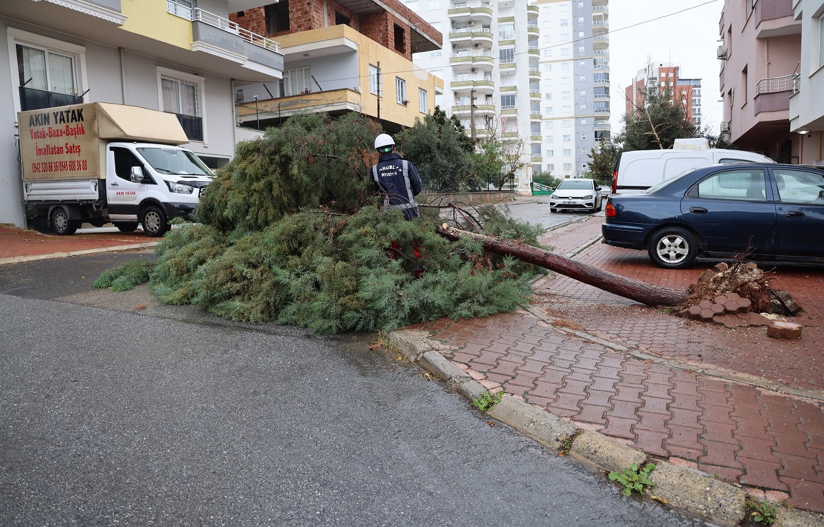 MERSİN’DE ŞİDDETLİ FIRTINA AĞAÇLARI DEVİRDİ, ÇATILARI UÇURDU: TOROSLAR BELEDİYESİ ANINDA SAHAYA İNDİ