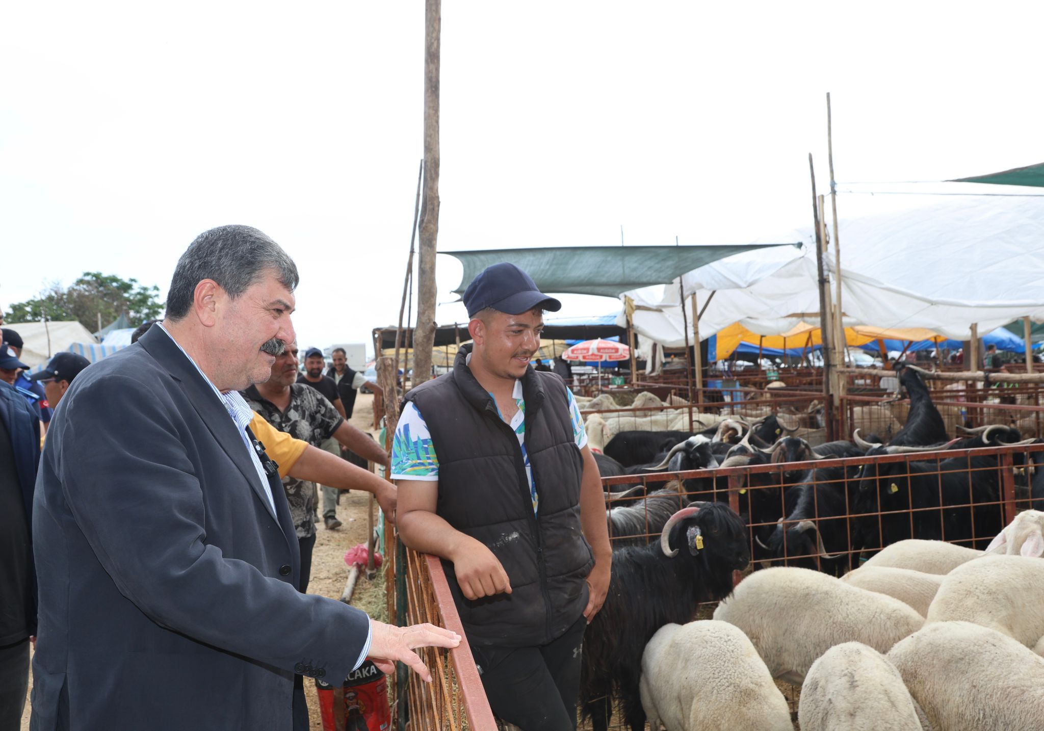 BAŞKAN YILDIZ KURBAN SATIŞ ALANINI ZİYARET ETTİ